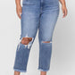 Collins Straight PLUS Jeans (was $62.90)